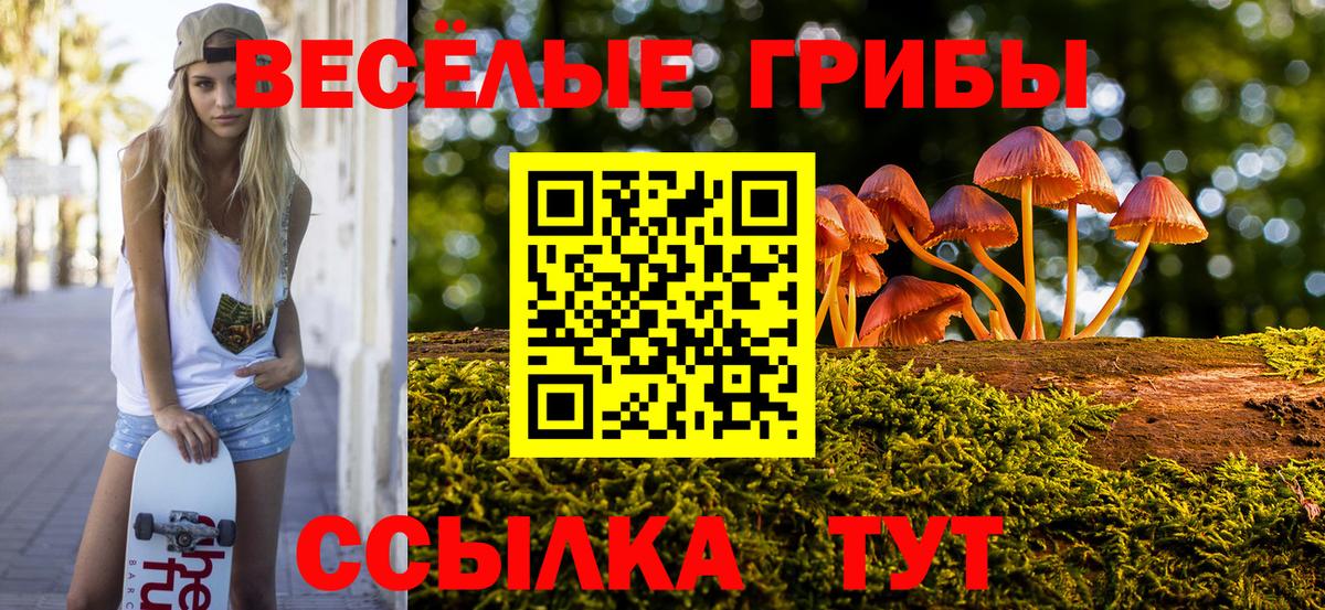 Псилоцибиновые грибы Psilocybine cubensis  Вход с VPN  Родники  Псилоцибиновые грибы ЛСД 